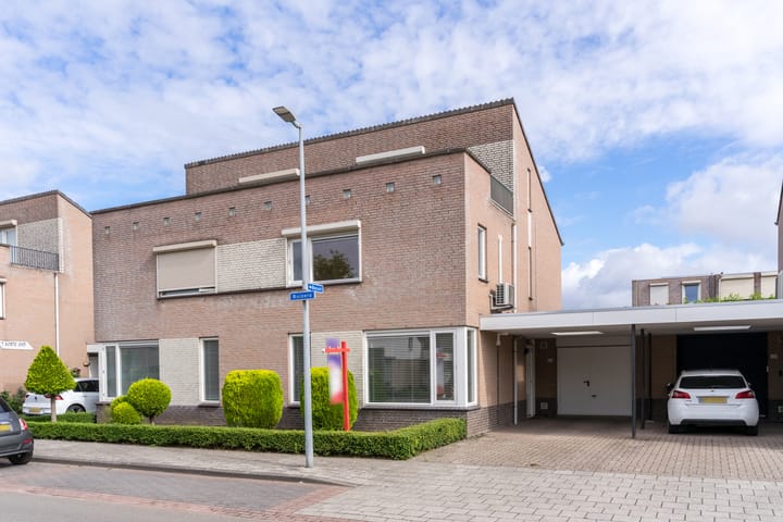 Foto 9 van Buizerd 124