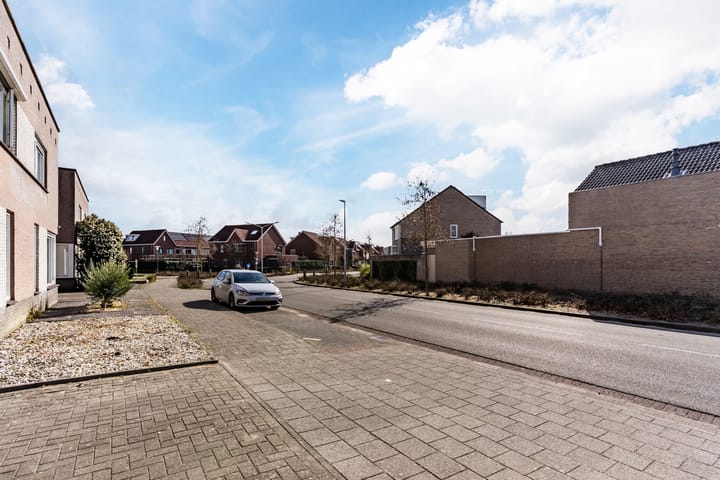 Foto 10 van Buizerd 124