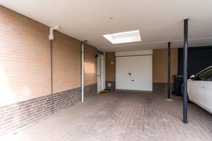 Foto 11 van Buizerd 124