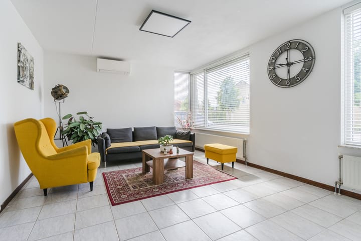 Foto 12 van Buizerd 124