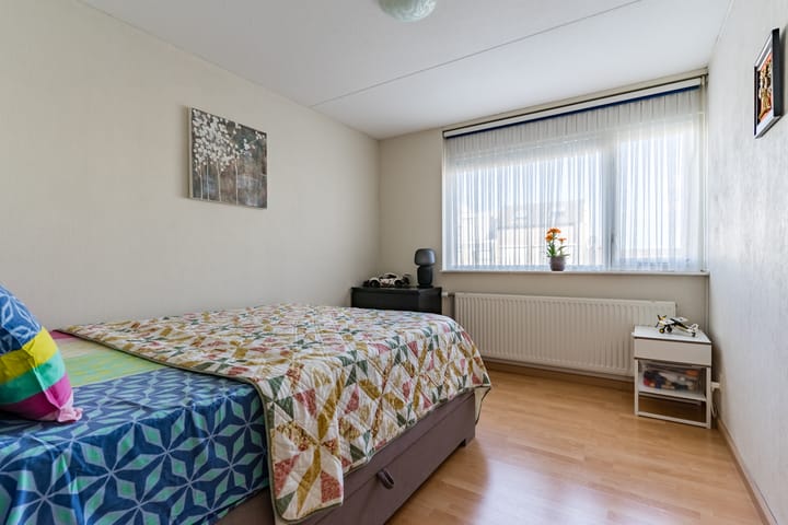 Foto 24 van Buizerd 124