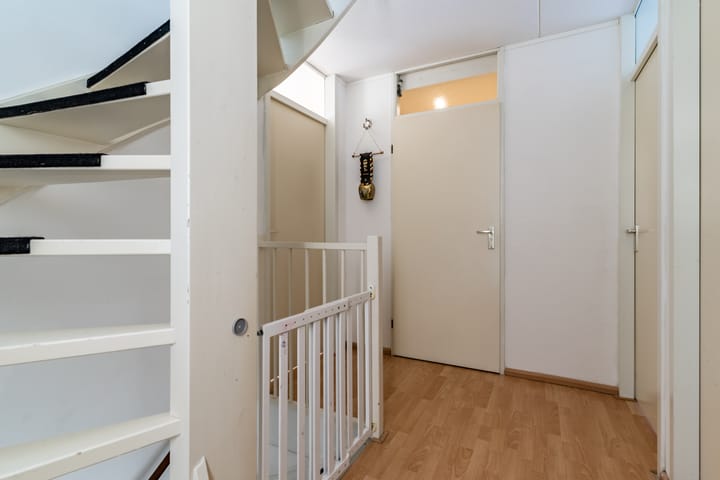 Foto 31 van Buizerd 124