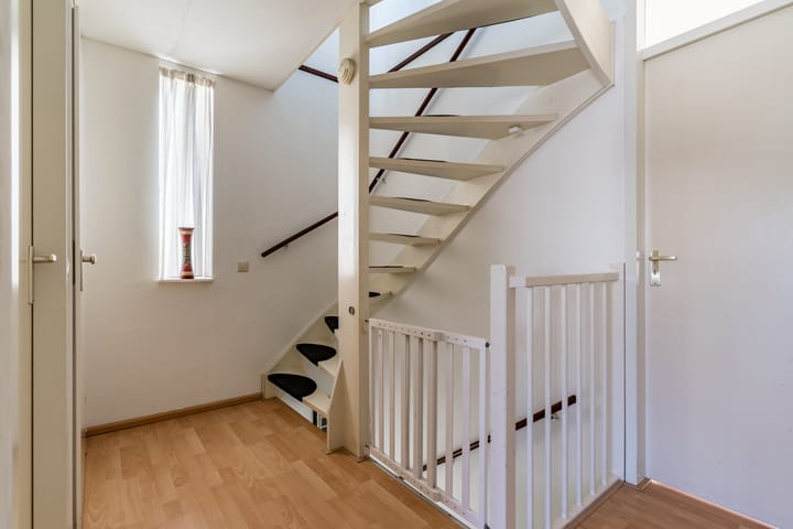 Foto 32 van Buizerd 124