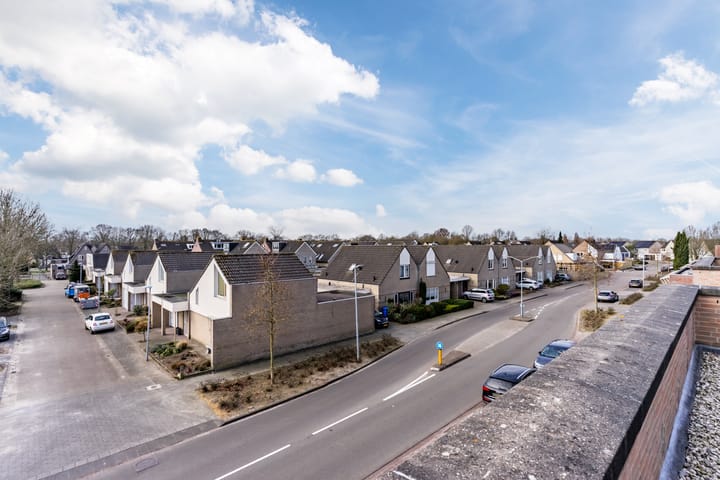 Foto 42 van Buizerd 124