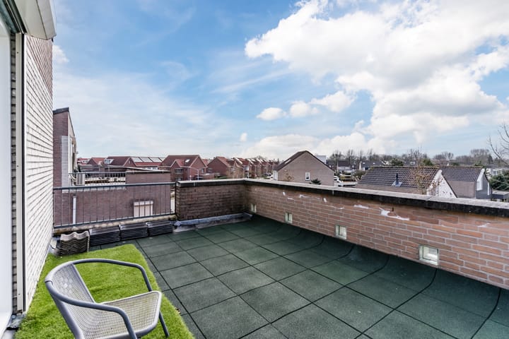 Foto 45 van Buizerd 124