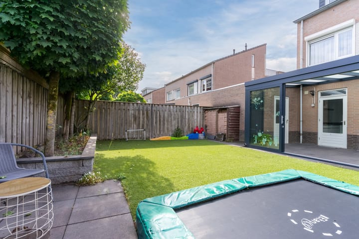 Foto 50 van Buizerd 124