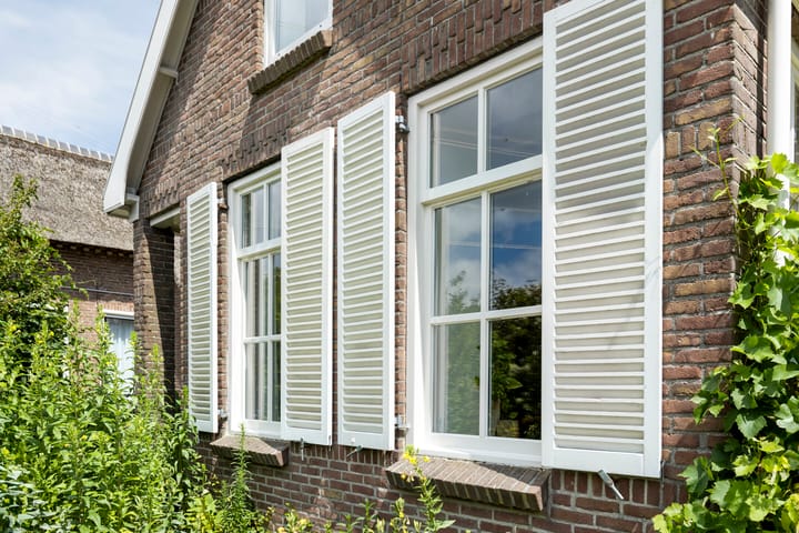 Foto 5 van Bloemberg 24