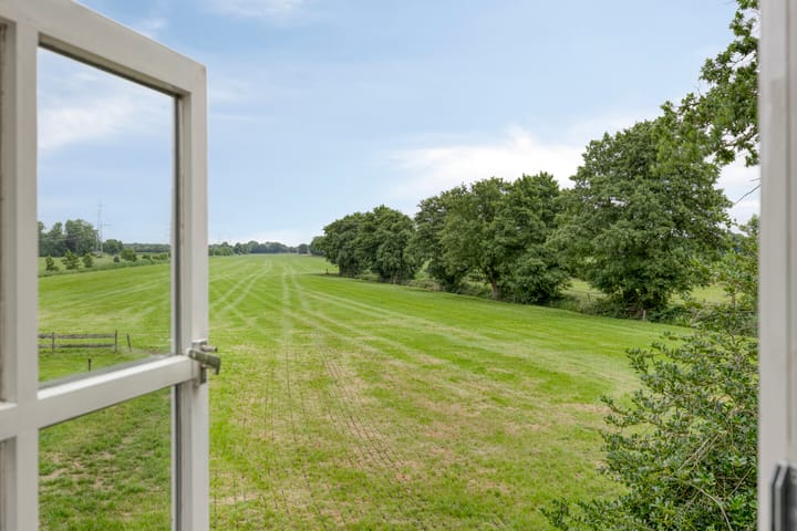 Foto 38 van Bloemberg 24