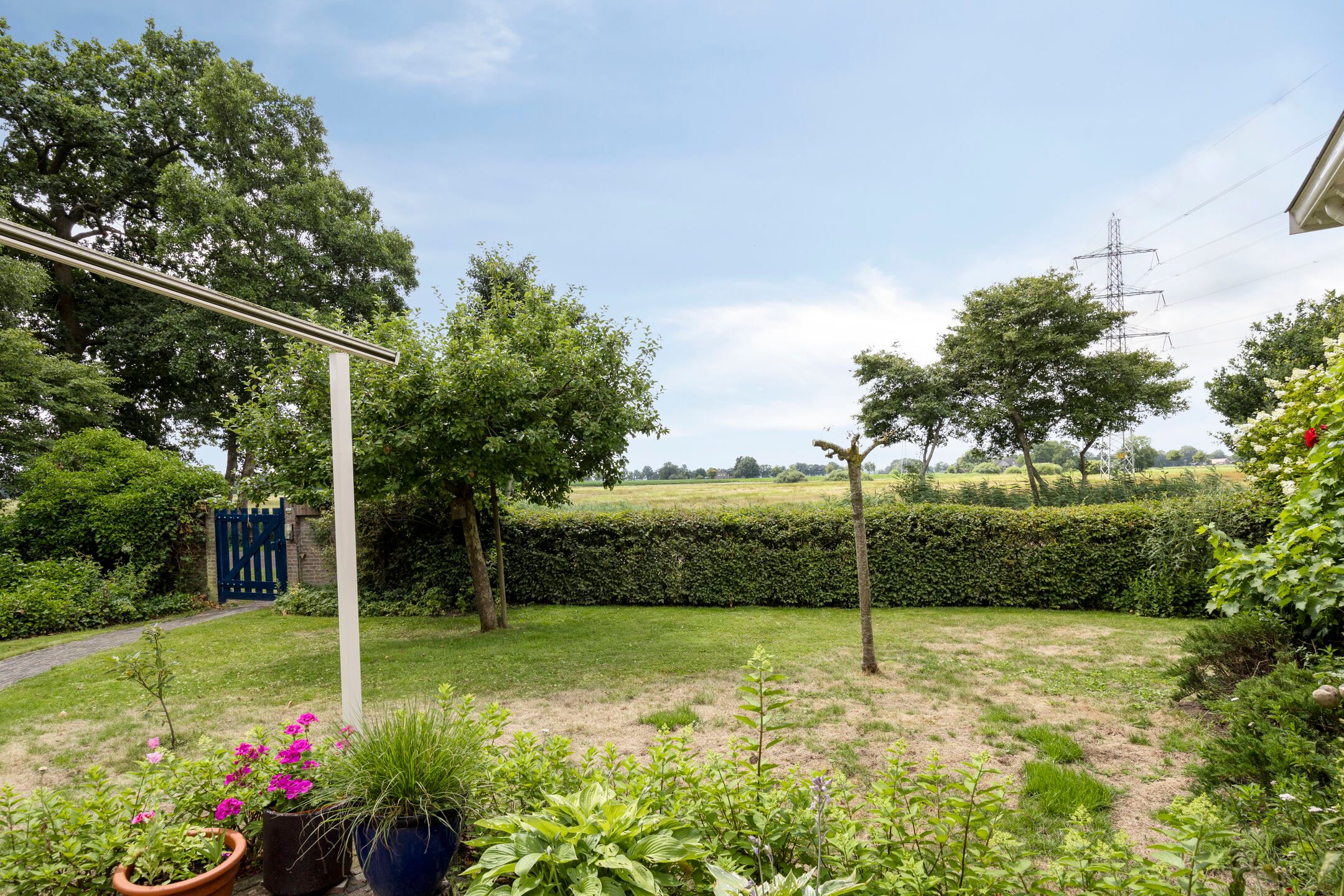 Foto 51 van Bloemberg 24