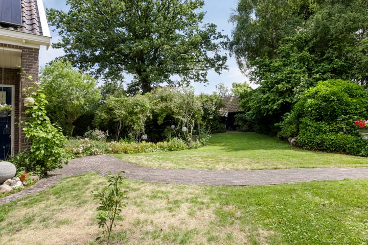 Foto 52 van Bloemberg 24