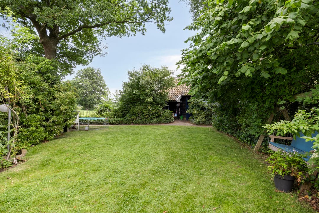 Foto 56 van Bloemberg 24