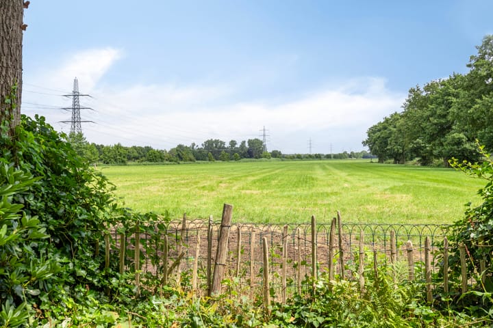 Foto 57 van Bloemberg 24