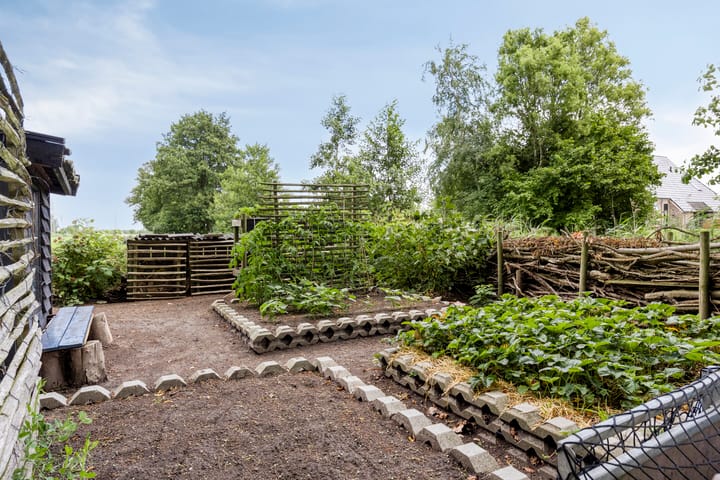 Foto 60 van Bloemberg 24