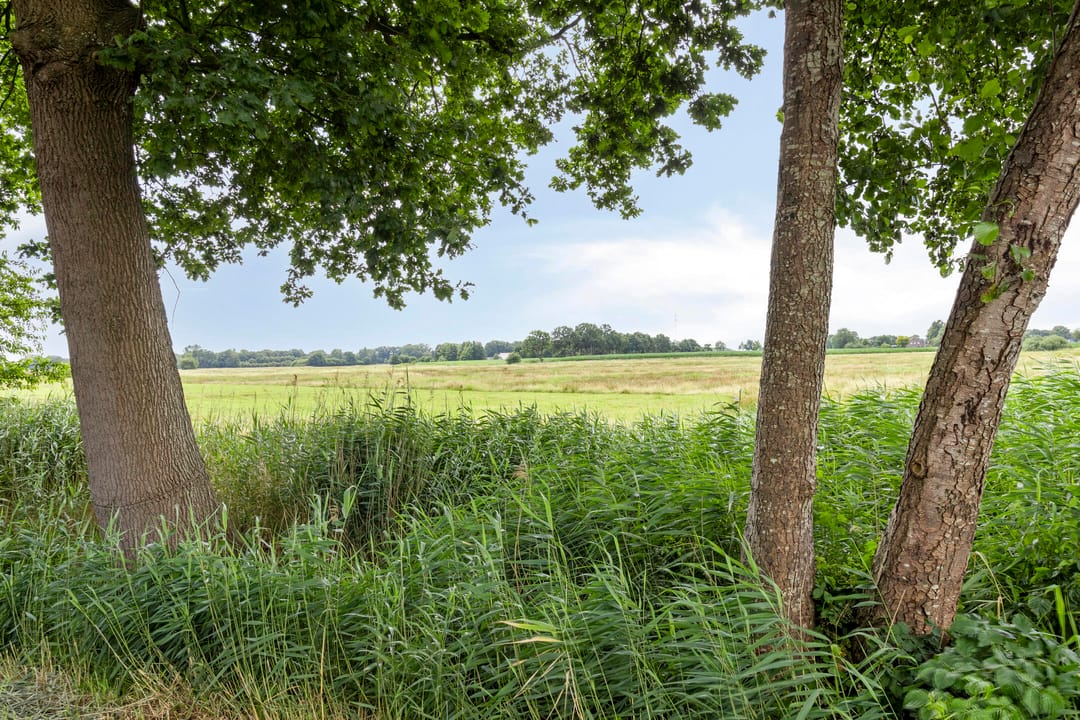 Foto 62 van Bloemberg 24