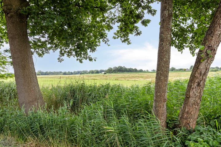 Foto 62 van Bloemberg 24