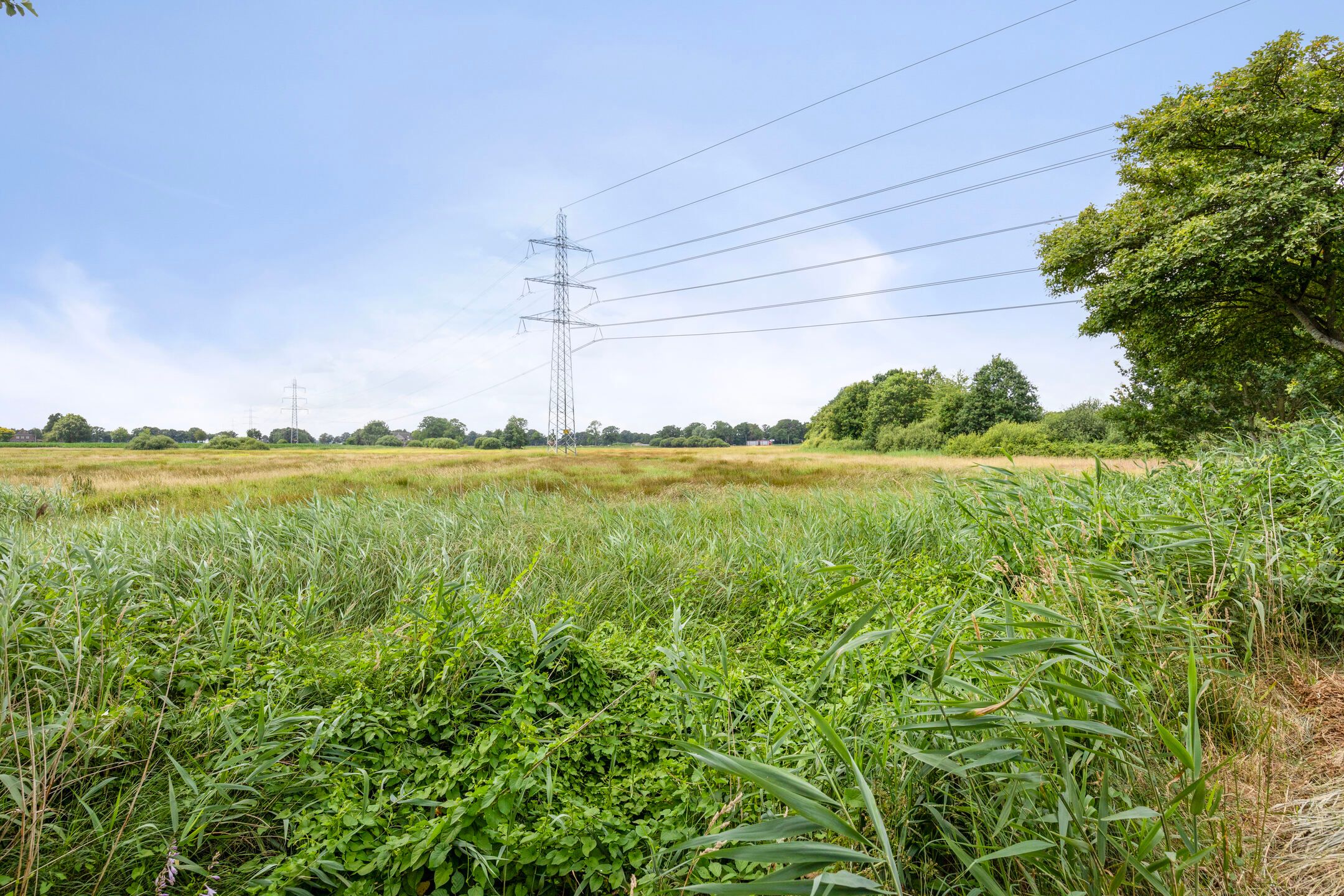 Foto 63 van Bloemberg 24