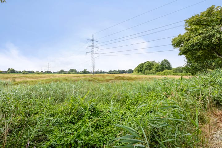 Foto 63 van Bloemberg 24