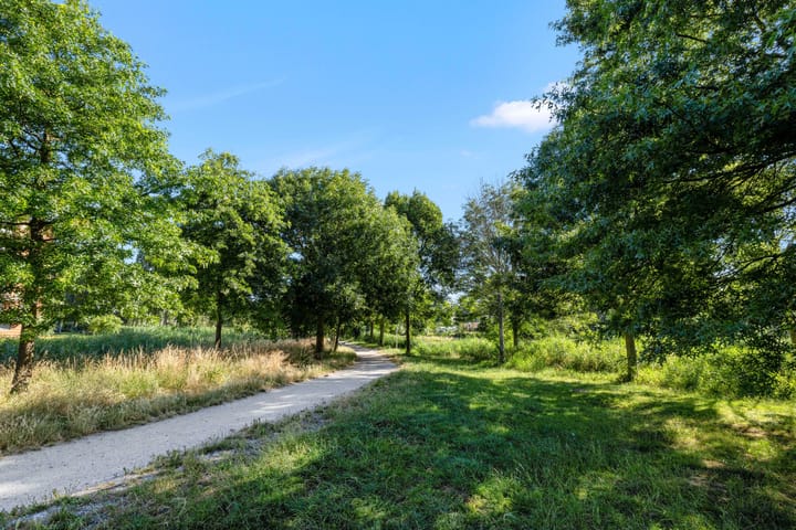 Foto 40 van Helsingborg 14