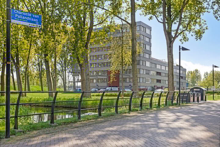 Charlotte van Pallandtlaan 18