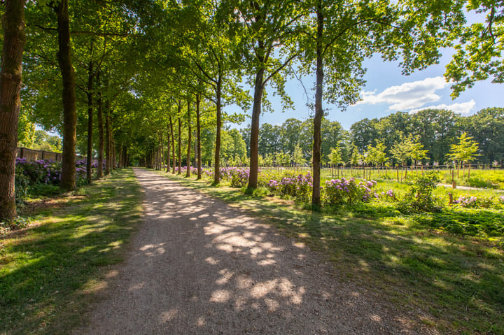 Photo 61 of Smidsallee 18