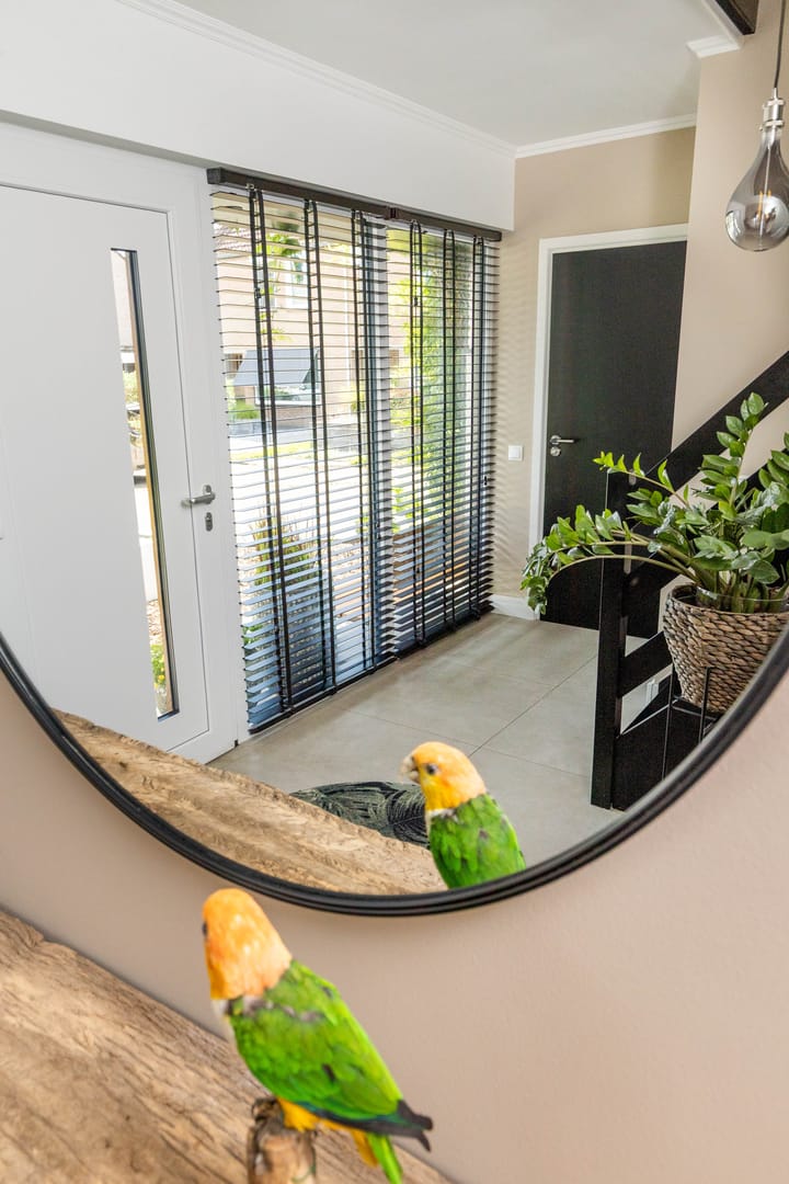 Foto 53 van Holsterbeek 36