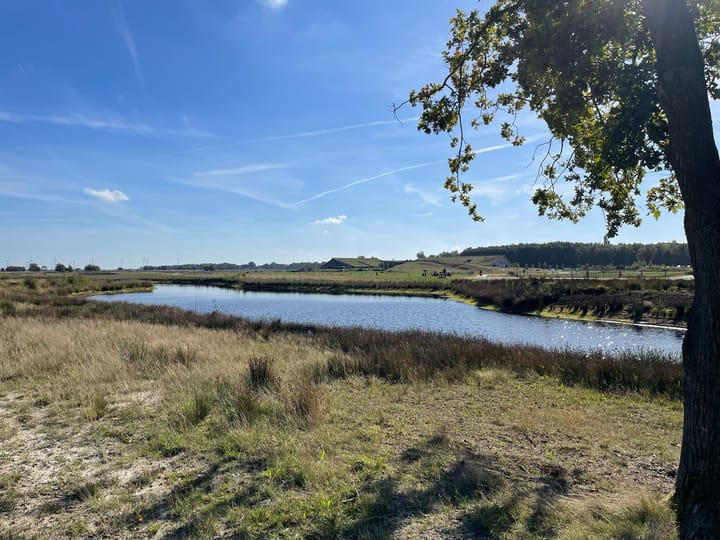 Foto 46 van Molenaarslaan 22