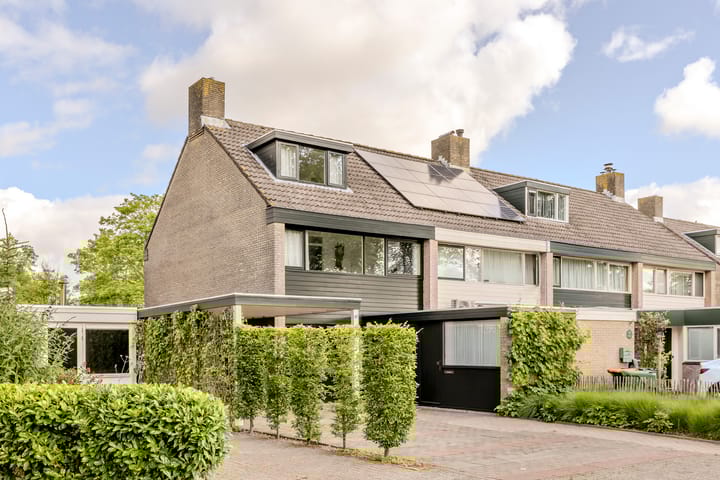 Foto 51 van van Mieroplaan 47