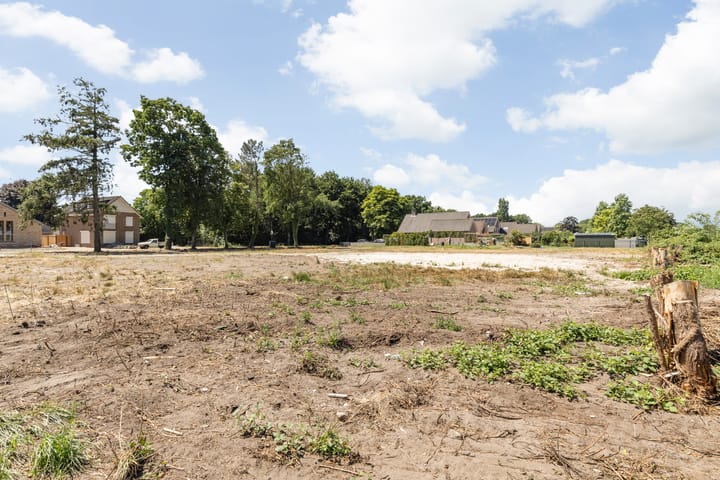 Photo 20 of Oude Baan