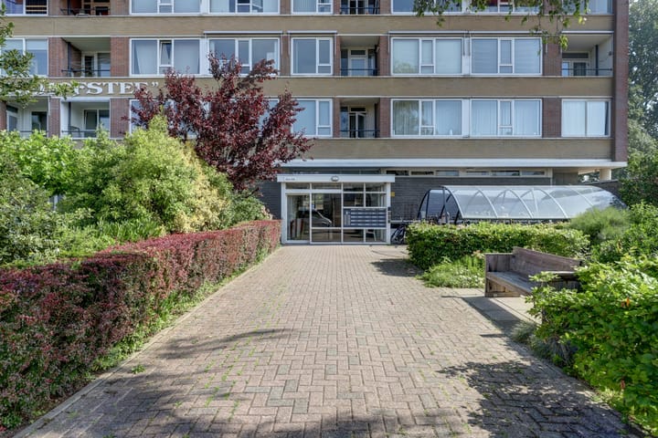 Foto 30 van Jan van Goyenstraat 142