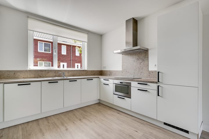 Foto 3 van Lijster 16