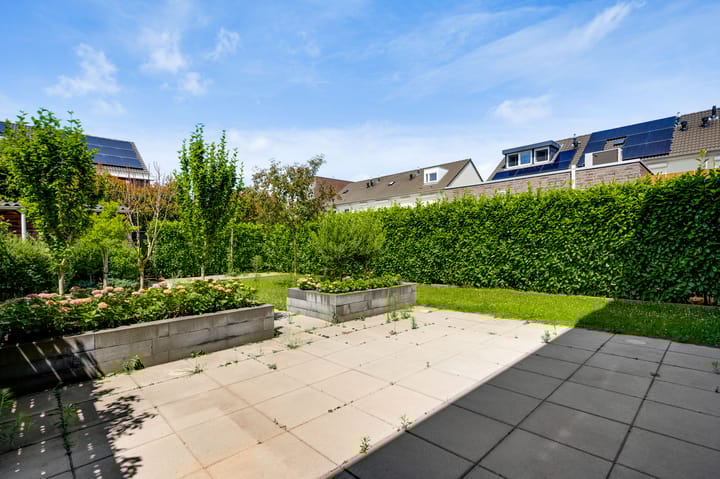 Foto 4 van Lijster 16