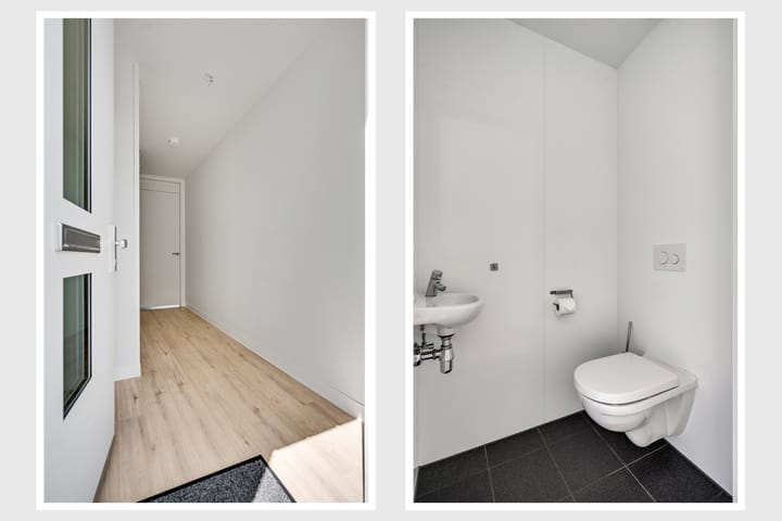 Foto 5 van Lijster 16