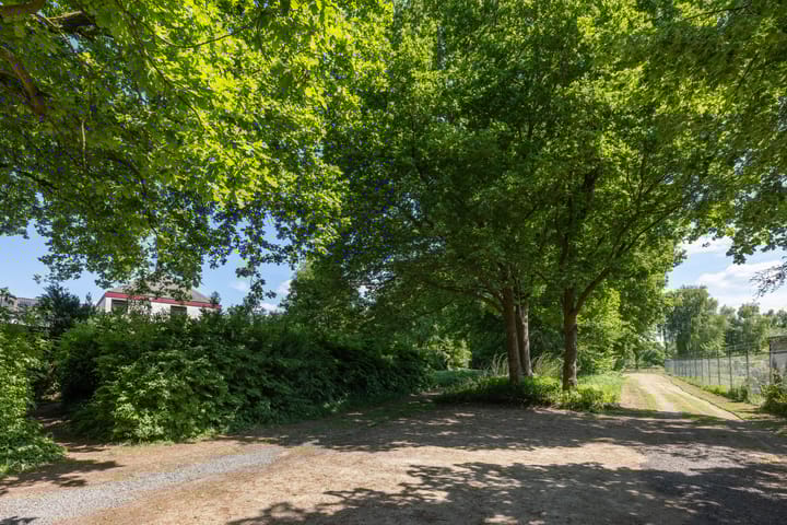 Foto 23 van Paul Pellastraat 66