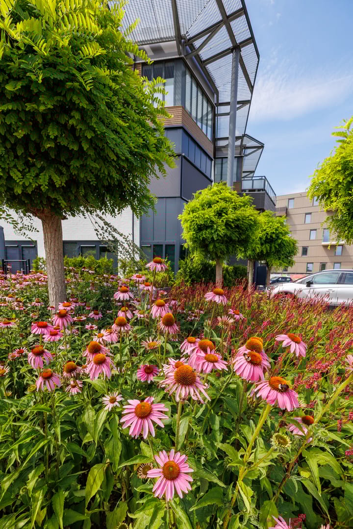 Foto 41 van Klepperheide 3-B