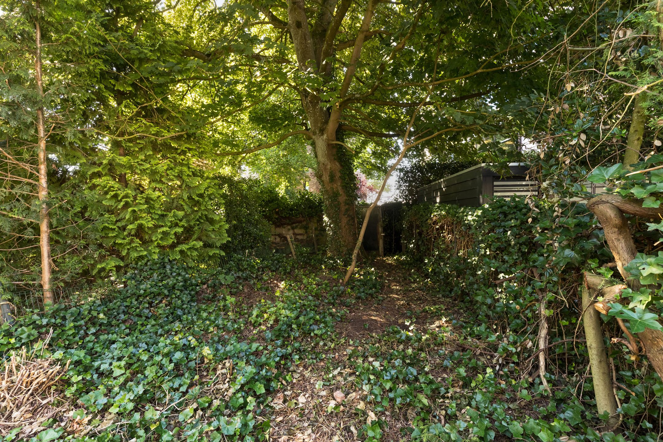 Foto 15 van Bouriciusstraat 15