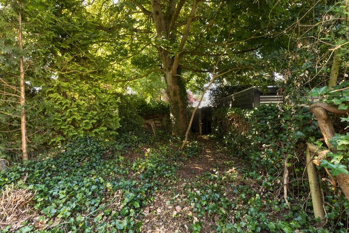 Foto 15 van Bouriciusstraat 15