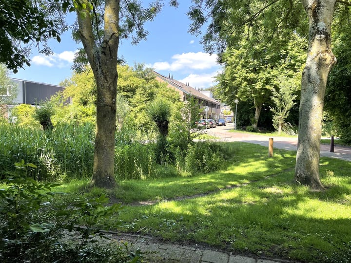 Photo 5 of Melissetuin 2