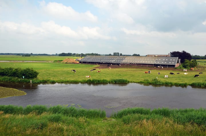 Foto 14 van Koepeloven 16