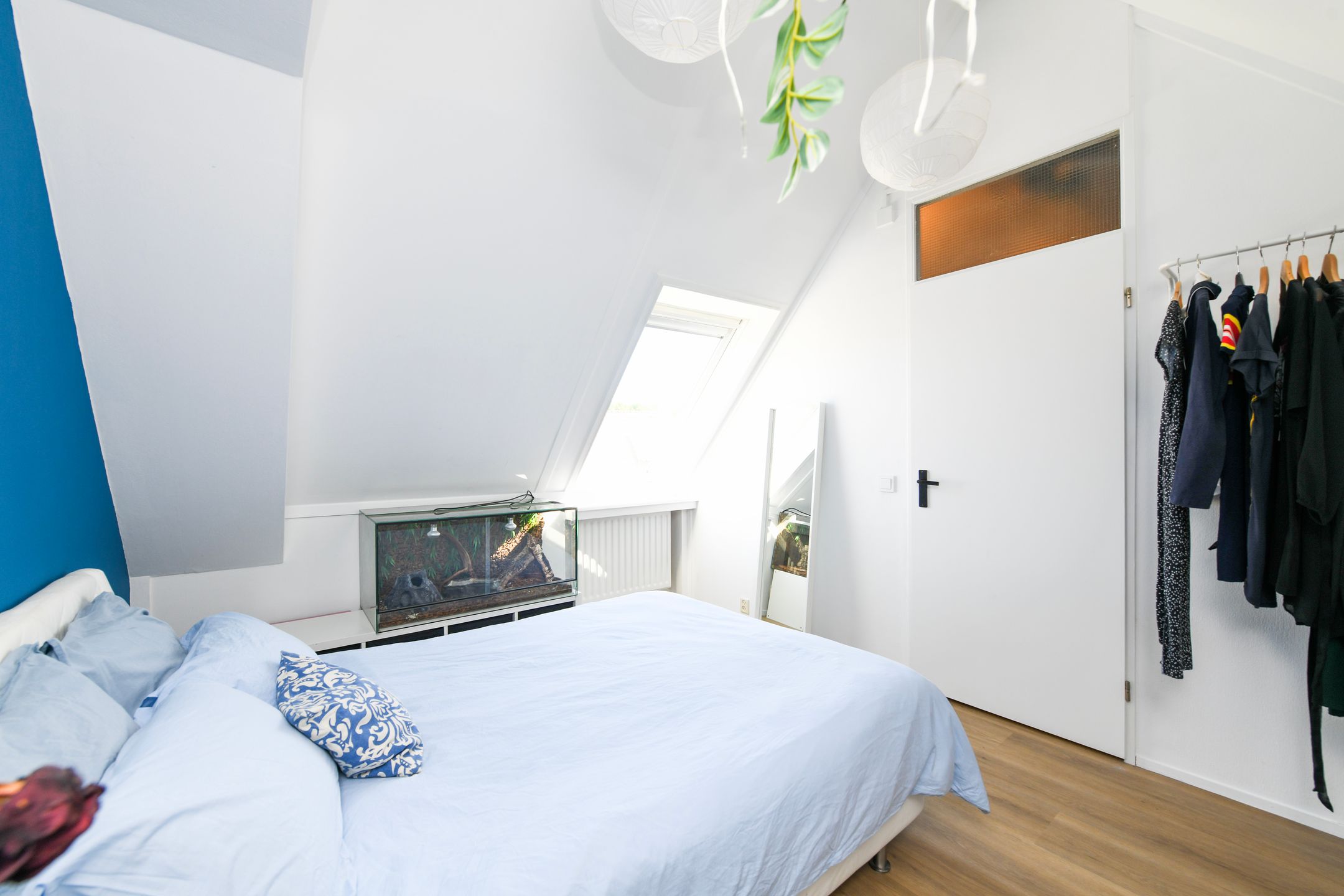 Photo 21 of Coulisse 54