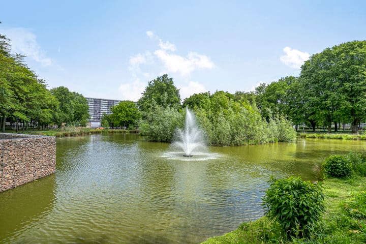 Foto 33 van Dirigentenlaan 9-D