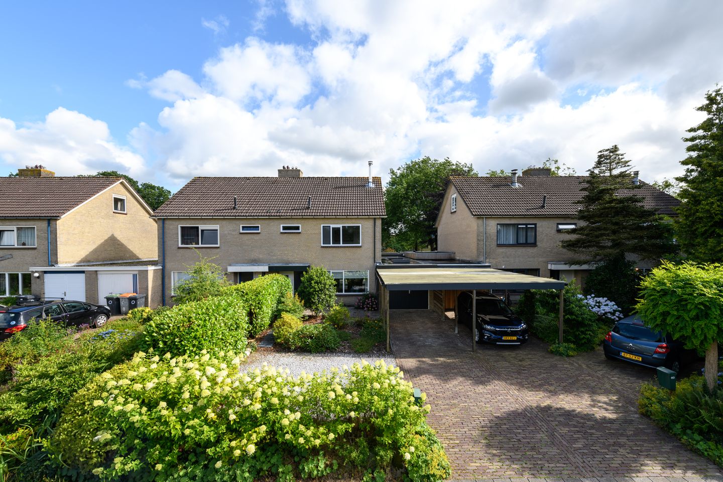 Ropta 62 main image