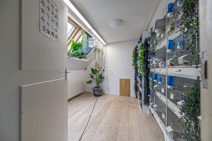 Photo 39 of Koornmarkt 6