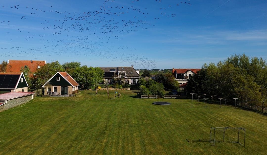 Foto 77 van Kaard 3-1