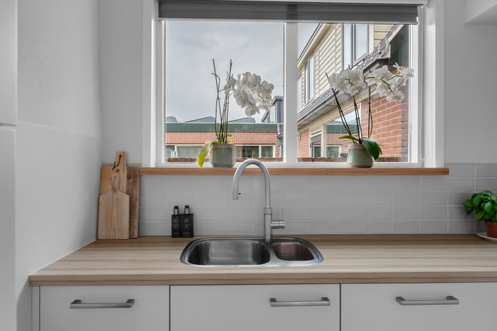 Foto 24 van de Nederlanden 16