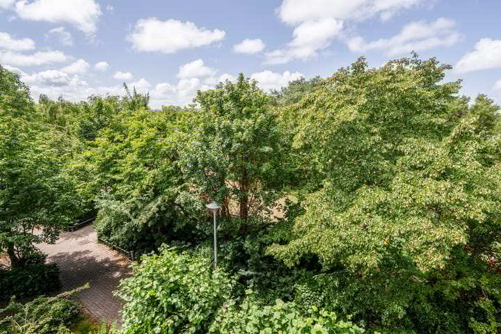 Foto 39 van Tollenspark 9