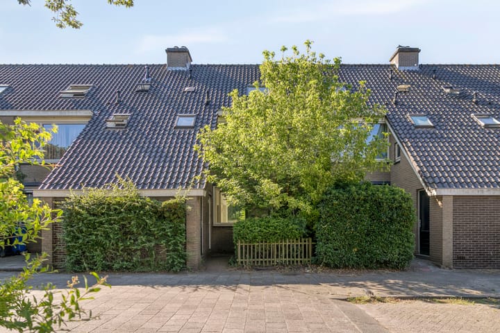 Kruipbrem 53