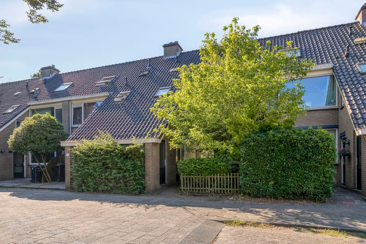 Foto 2 van Kruipbrem 53