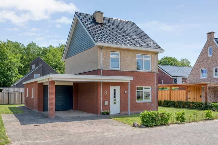 undefined main image