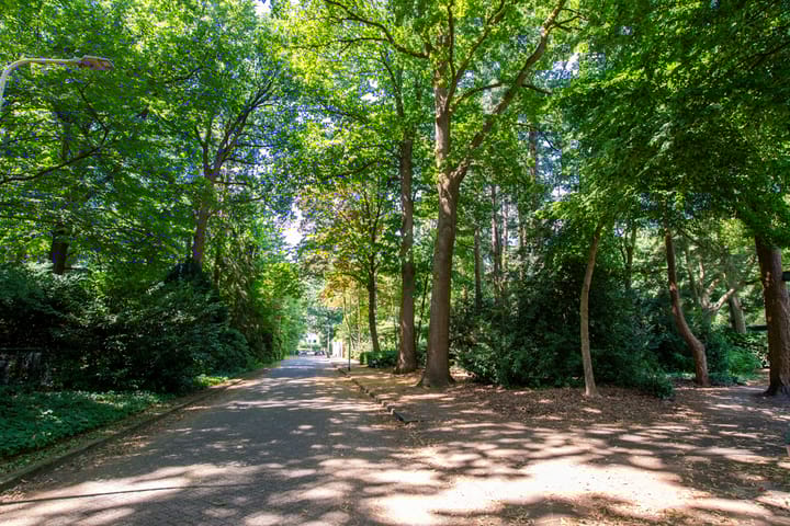 Photo 56 of Kasteel Doorwerthstraat 2