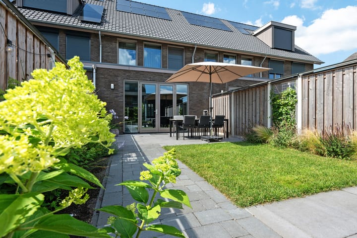 Foto 2 van Vlaserf 24